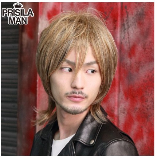 セクシーワイルド クリスマス ハロウィン コスプレ オールウィッグ 男性 仮装 ショート パーティー 手洗い 難燃性 ワイルドウルフ 男性 プリシラマン 女性 ナチュラル ヘアアイロン コテ ヘアアレンジ プリシラ ウィッグ フルウィッグ カッコイイ 簡単 メンズ シャープな