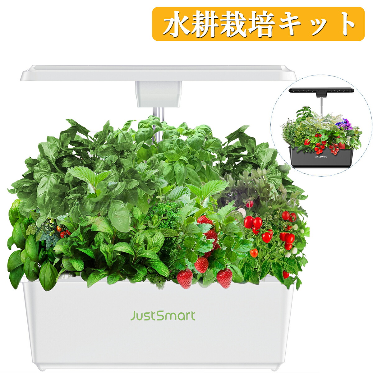 携帯型冷蔵凍結器