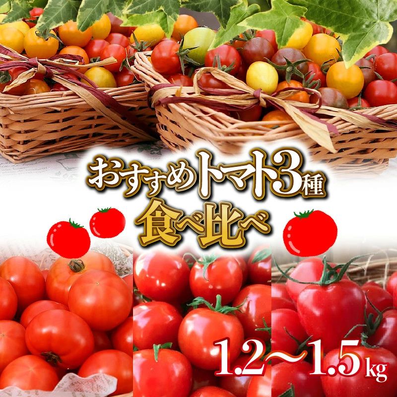 おすすめ トマト3種食べ比べセット 1.2キロ～1.5キロ 長田農園 産地直送 長田農園しかできない夢の共演 個数限定 さくらんぼトマト フルーツジュエリーミニトマト トマトベリー トマト とまと 野菜 やさい サラダ  甘い 食べ物 プレゼント 美容 健康