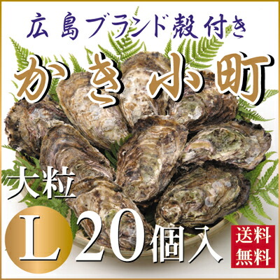 【大粒】広島ブランド 殻付き 「広島かき小町」 20個入り(Lサイズ200ｇ前後）【送料無料】