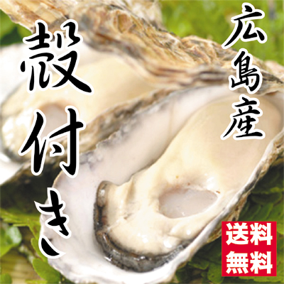 広島県産牡蠣　殻付きお徳用35個入　訳あり殻付き牡蠣（かき）（S〜Mサイズ）加熱用