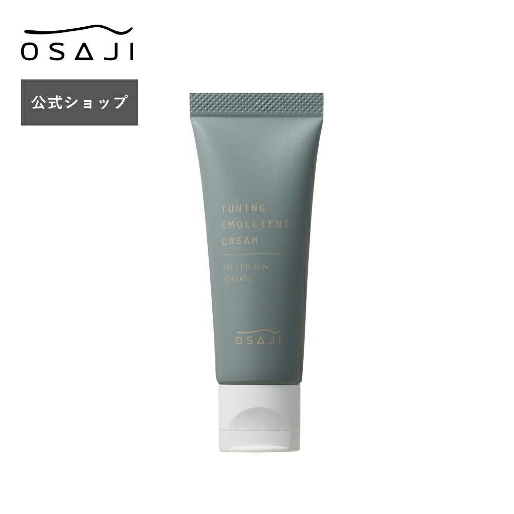 楽天市場】【公式】ニュアンス フェイスカラー 透け感のある発色