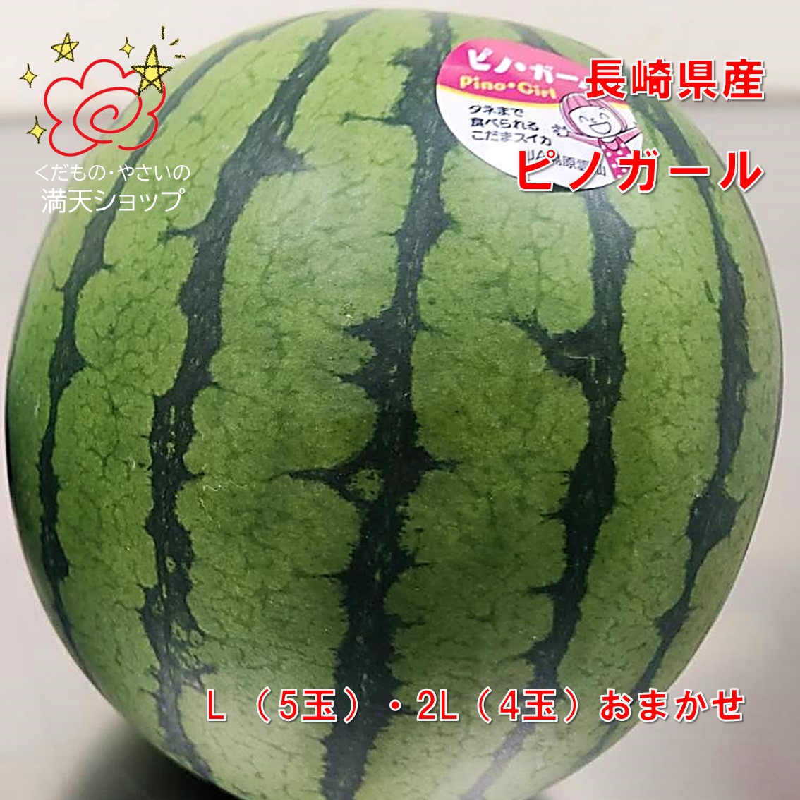 ピノガール　長崎県産　８キロ　玉数お任せ（4・5玉入）　大阪市　中央卸売市場よりお届け