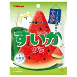 大阪京菓ZRカバヤ　５０Ｇ　すいかグミ×120個【送料無料（沖縄は別途送料）】【新x0324】