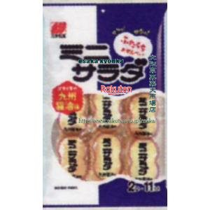 正規激安 大阪京菓 Zrx三幸製菓 ２枚x１１袋 ミニサラダ九州醤油味 64個 税 Xr 沖縄は別途送料 半額品 Www Ape Deutschland De