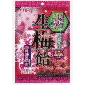 大阪京菓 Zrx褒章 紀州プラム肉氏素性梅狐 48個 タックス Xw 貨物輸送無料 沖縄は別途送料 Earthkitchen Ph