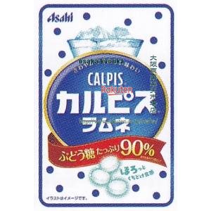 大阪京菓 ZRxアサヒフード　４１Ｇ カルピスラムネ×384個【xrs6】【送料無料（沖縄は別途送料）】 40,193円