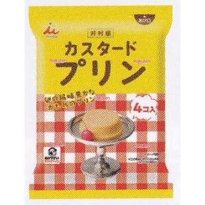 大阪京菓 ZRx井村屋　５８Ｇx４コ 袋入カスタードプリン×10個【xecos6】【エコ配 送料無料 （沖縄県配送不可 時間指定と夜間お届け不可）】