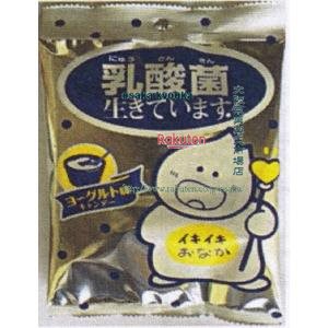 大阪京菓 ZRxキッコー　７０Ｇ 乳酸菌生きています×60個【xs6】【送料無料（沖縄は別途送料）】