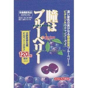 大阪京菓 ZRx川口製菓　８３Ｇ 瞳はブルーベリー×60個【xea5】【送料無料（沖縄は別途送料）】