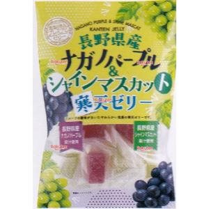 大阪京菓 ZRx金城製菓　１８０Ｇ 長野県産ナガノ＆シャイン寒天ゼリー×20個【xs6】【送料無料（沖縄は別途送料）】