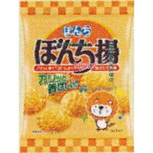 大阪京菓 ZRxぼんち　６０Ｇ ぼんち揚×40個【xws6】【送料無料（沖縄は別途送料）】