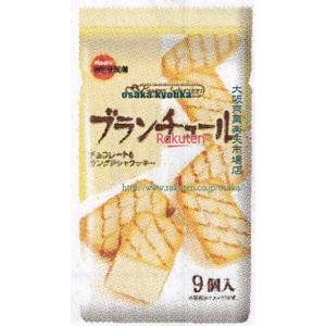 大阪京菓 ZRxブルボン　９個 ブランチュール×40個【xs6】【送料無料（沖縄は別途送料）】