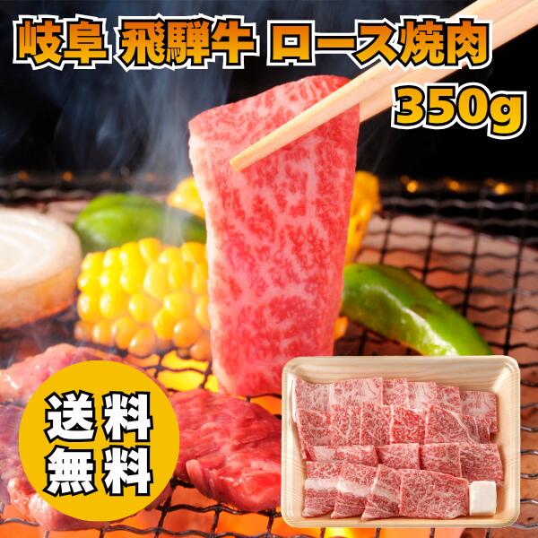 岐阜 飛騨牛 ロース焼肉 送料無料 送料込み お中元 ギフト 贈り物 プレゼント 国産牛 セット 飛騨牛 黒毛和種 焼き肉 すき焼き 和牛|e-shop大澤屋