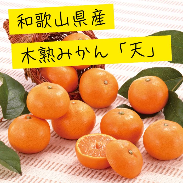 和歌山県産 木熟みかん「天」 約3kg（30～40個） 果物 フルーツ 秋 旬 みかん 柑橘 贈答 贈りもの 御歳暮 お礼 ギフト