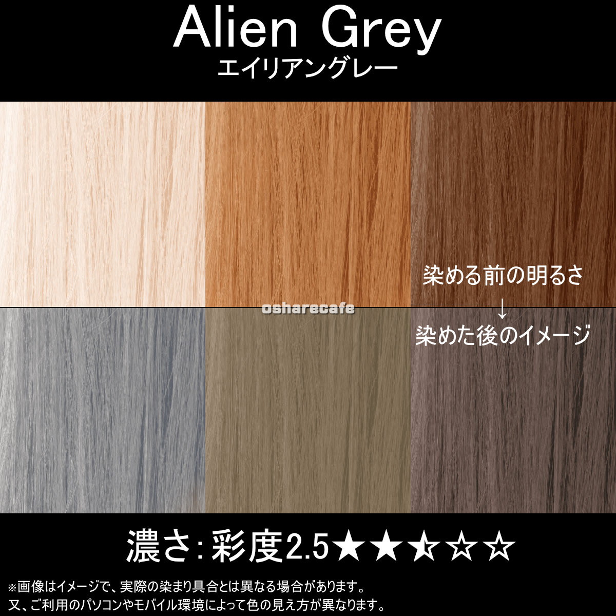 楽天市場 マニックパニック Mc Alien Grey エイリアングレー 18年新色 Manic Panic マニパニ ヘアカラークリーム Sbt おしゃれcafe楽天市場店