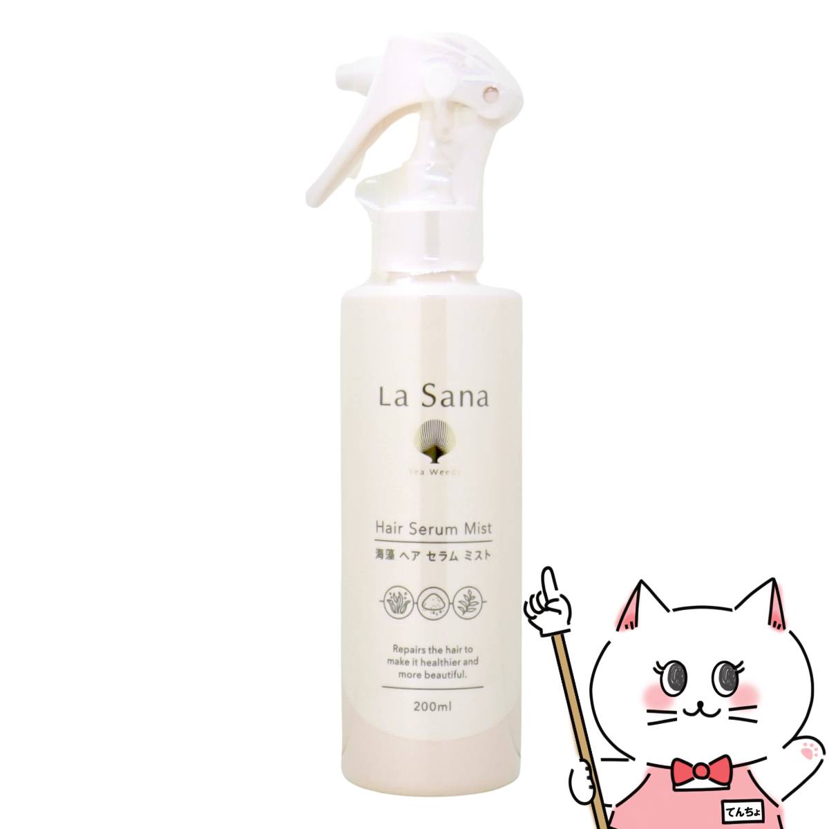 楽天市場】【セット】ラサーナ海藻海泥セット(シャンプー詰替380ml+