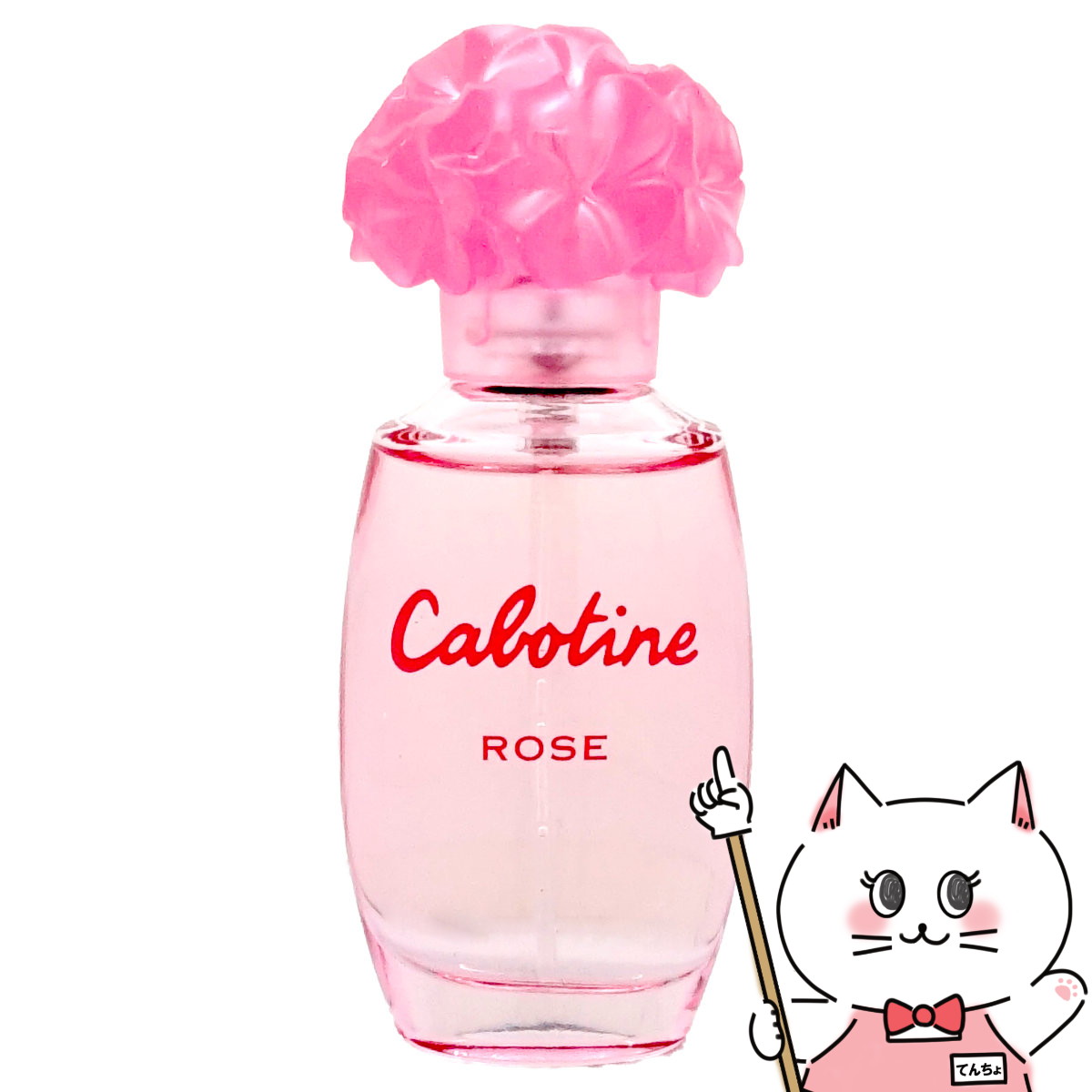楽天市場】【最大400円OFFクーポン】グレ カボティーヌEDT 100ml