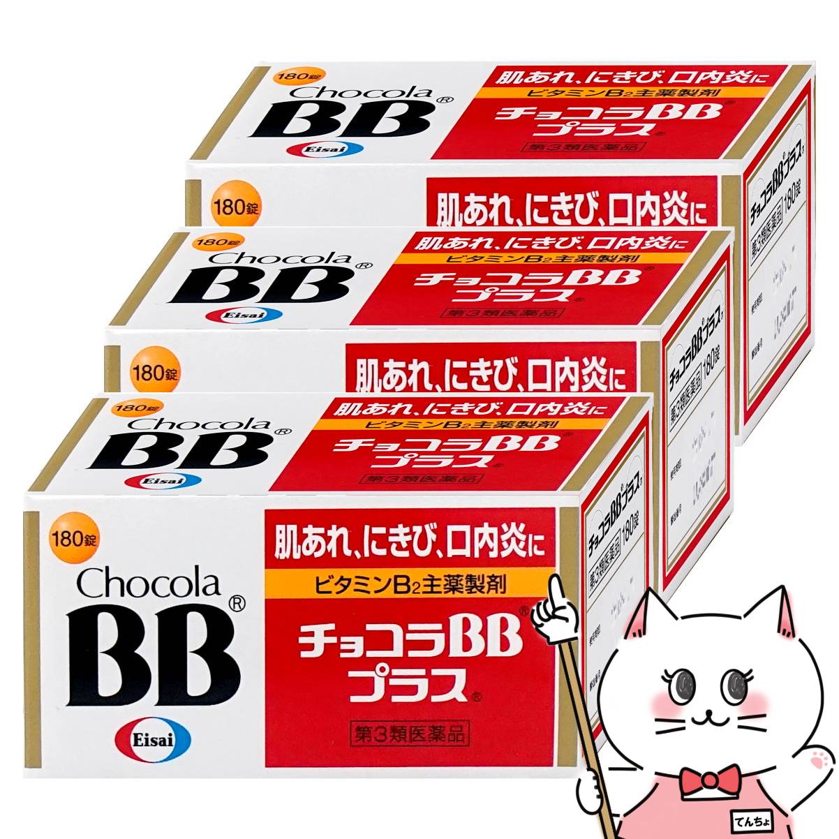 持ち運ぶ、明滅する光。日独シューケア！検査と修理一揃いの道具まっ盛り決戦