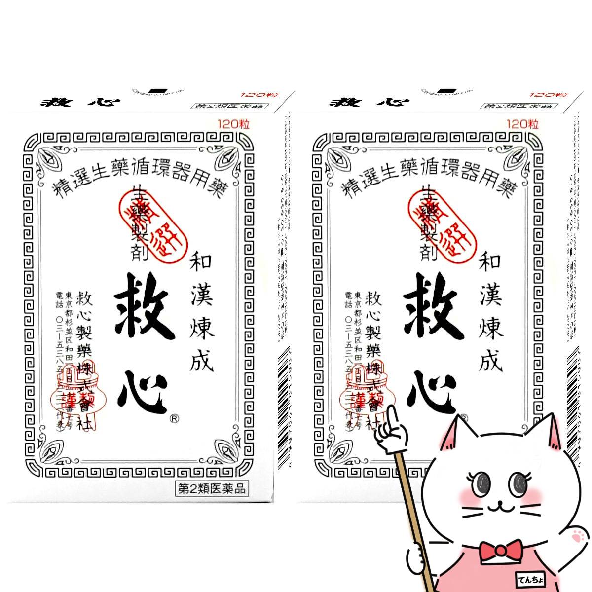 【夏の特集】夏を楽しむ科目大特集