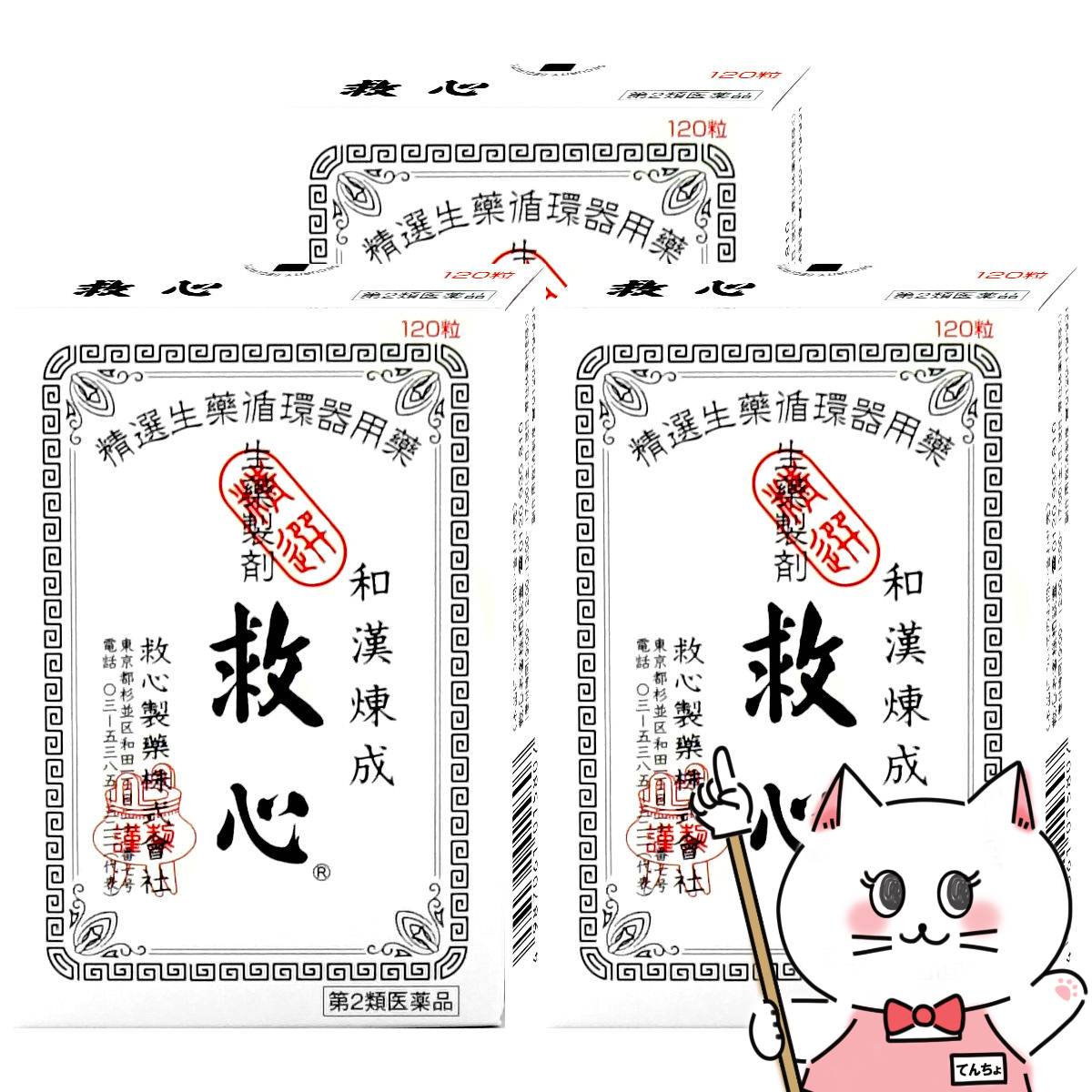 【夏の特集】夏を楽しむ科目大特集