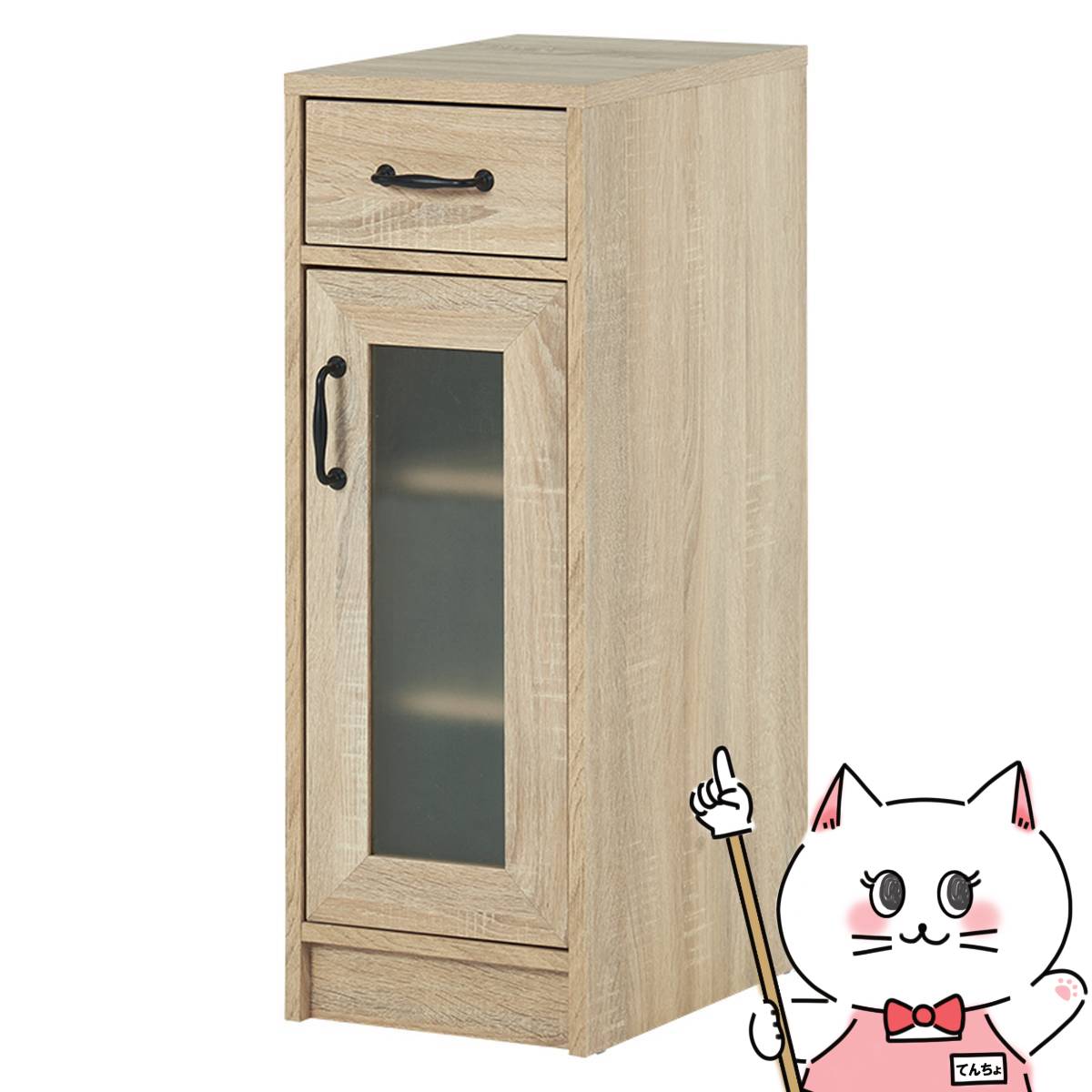 (最終価格)ハギハラ＊キャビネット e-zoa.com｜[萩原 (ハギハラ)] キャビネット 組立式 幅58×奥行40