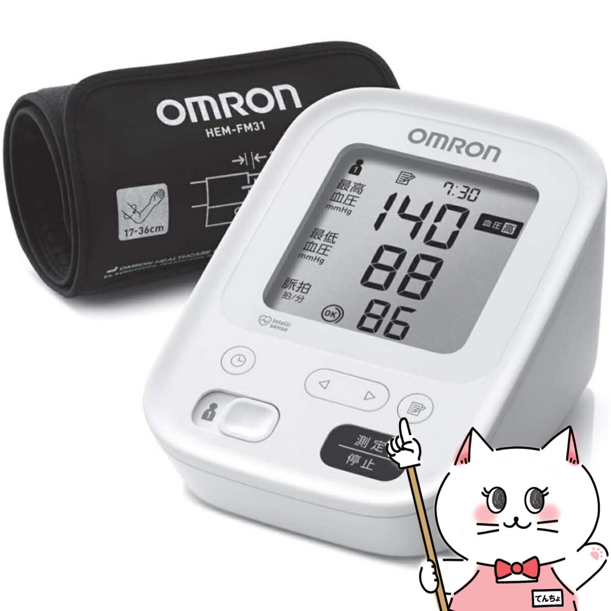 【夏の特集】夏を楽しむ科目大特集