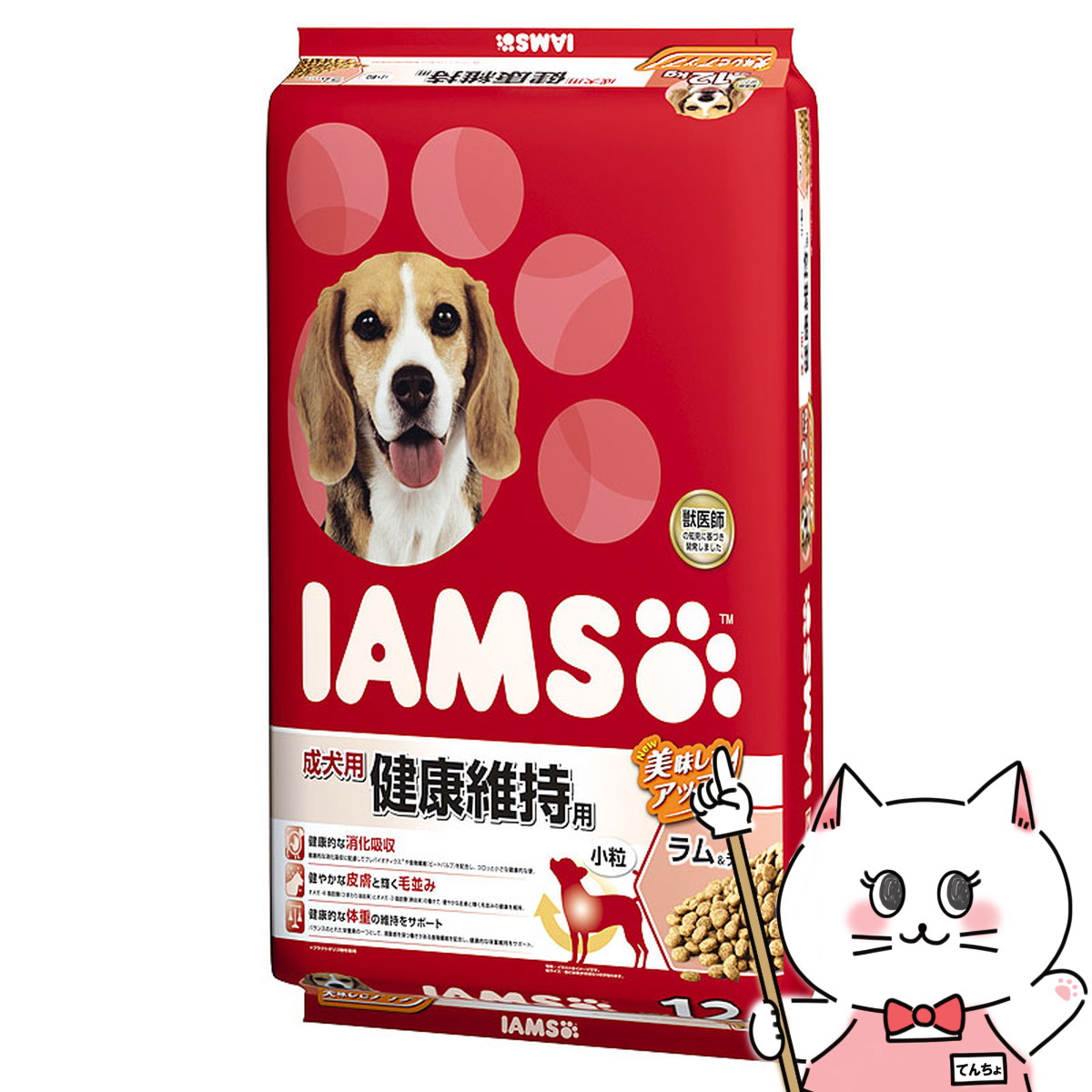 【夏の特集】夏を楽しむ個条大特集