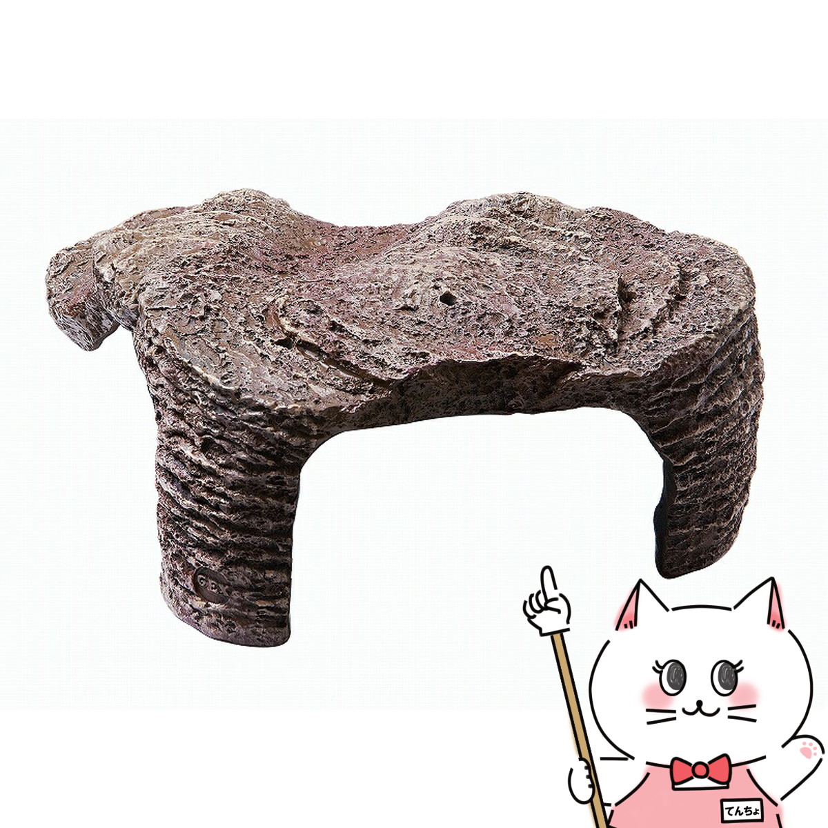 楽天市場】【一日限定ポイントup♪12/1限り】GEX カメ元気 カメの島 M