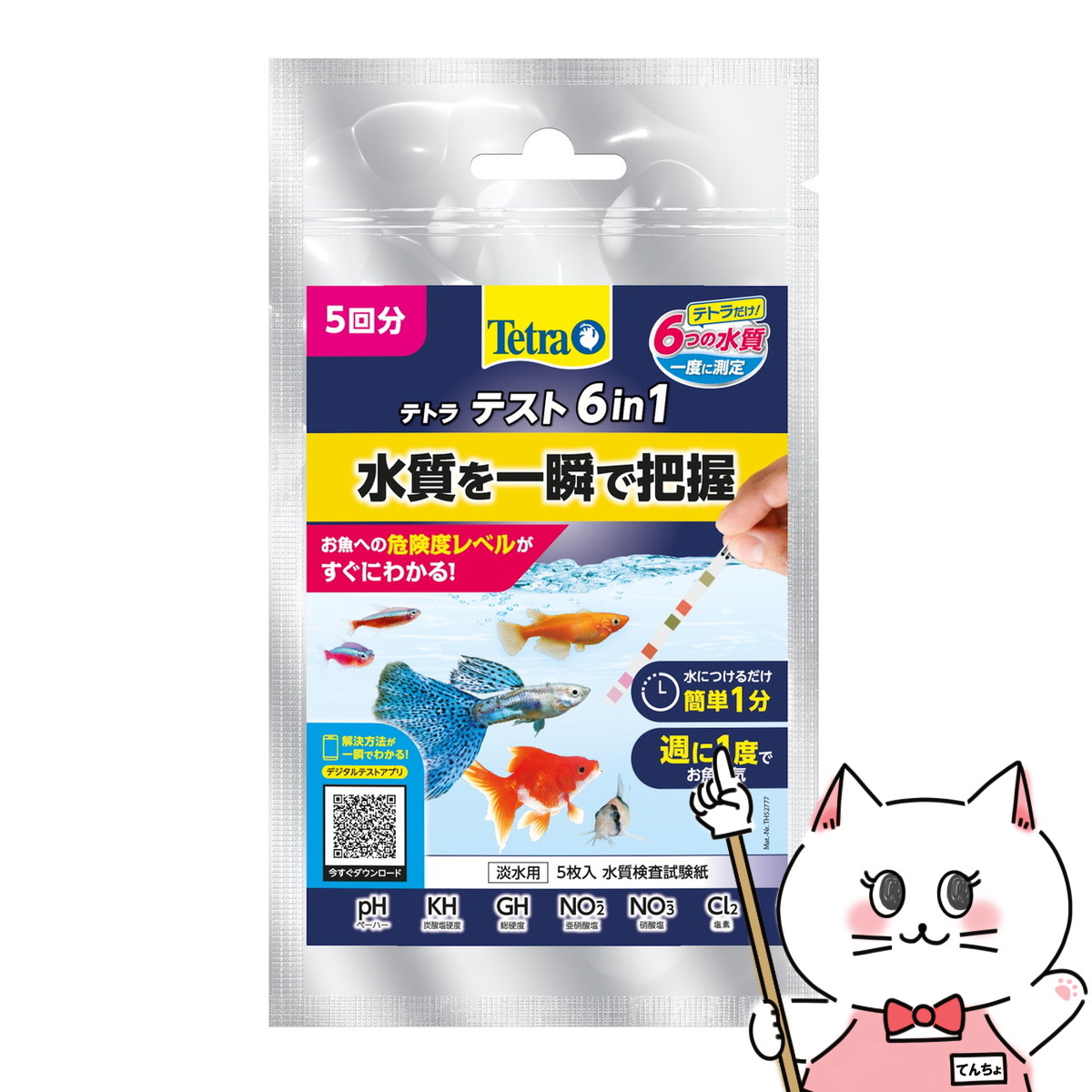 楽天市場】マルカン カンタンおさかなの水質チェックシート 40枚【happiest】【SBT】(6041653) : おしゃれcafe楽天市場店