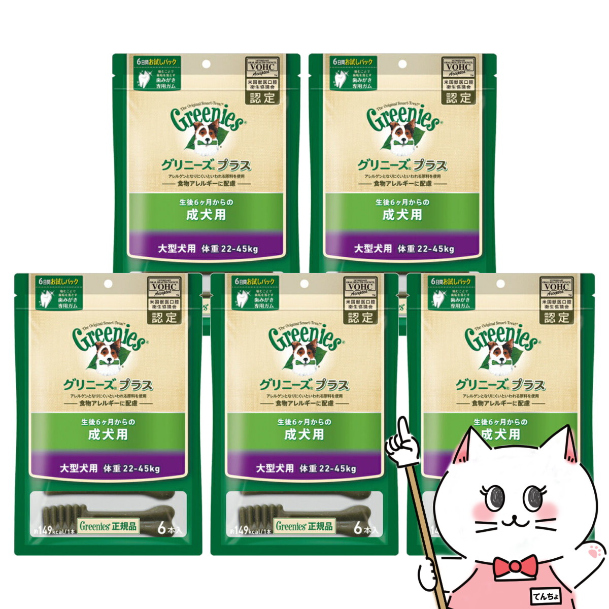 【夏の特集】夏を楽しむ科目大特集