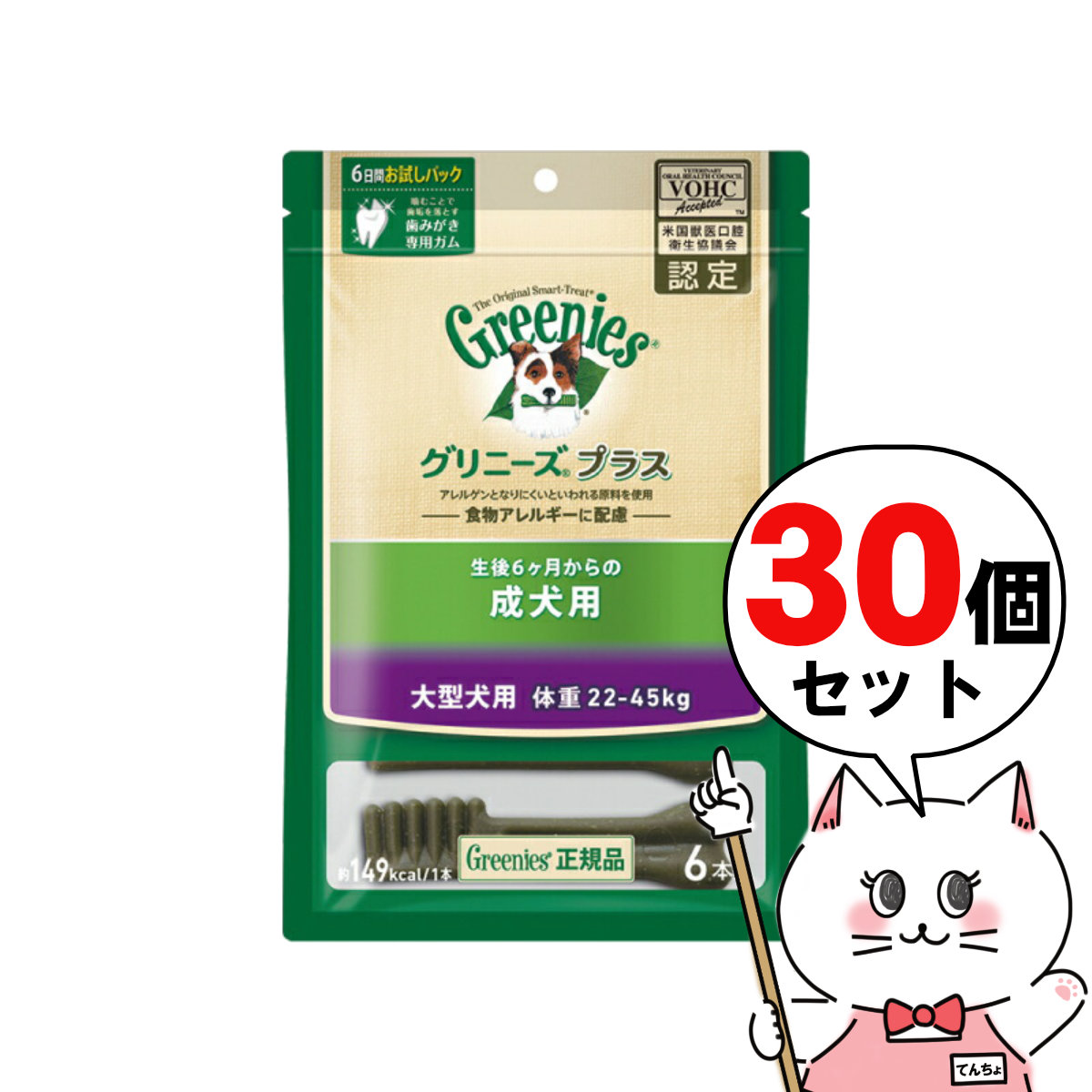 【夏の特集】夏を楽しむ科目大特集