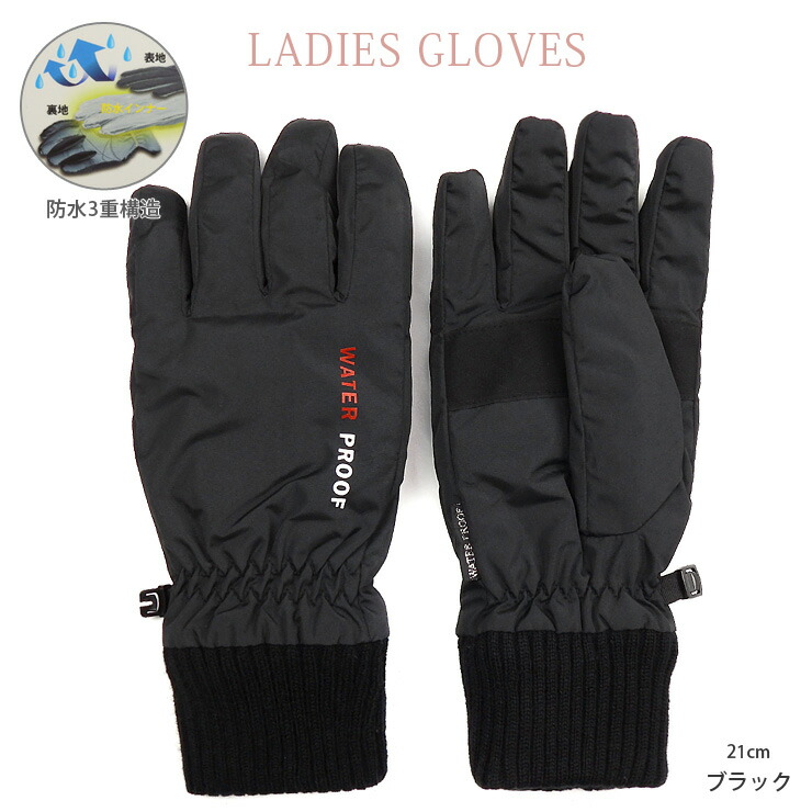 楽天市場】スキーグローブ メンズ 秋冬 25cm 手袋 4216 ブラック 紳士