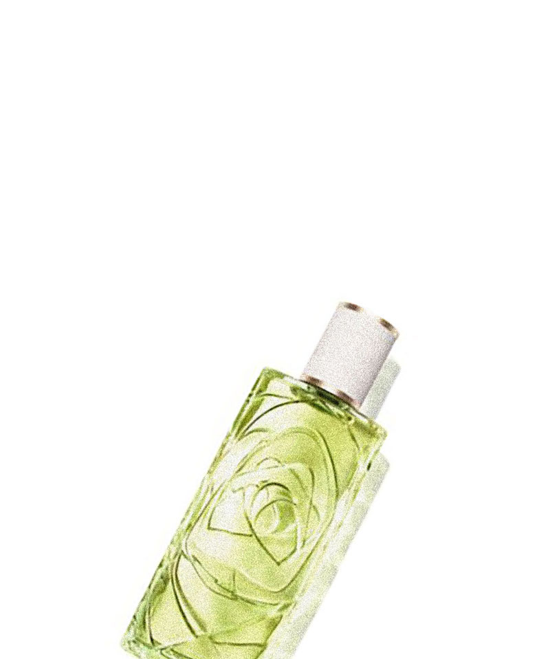 2025/8/1 発売 LANCOME（ランコム） レゾー オフ ナウ オー ドゥトワレ 100mL／芳ばしさ 美容・コスメ・香水-香水・フレグランス