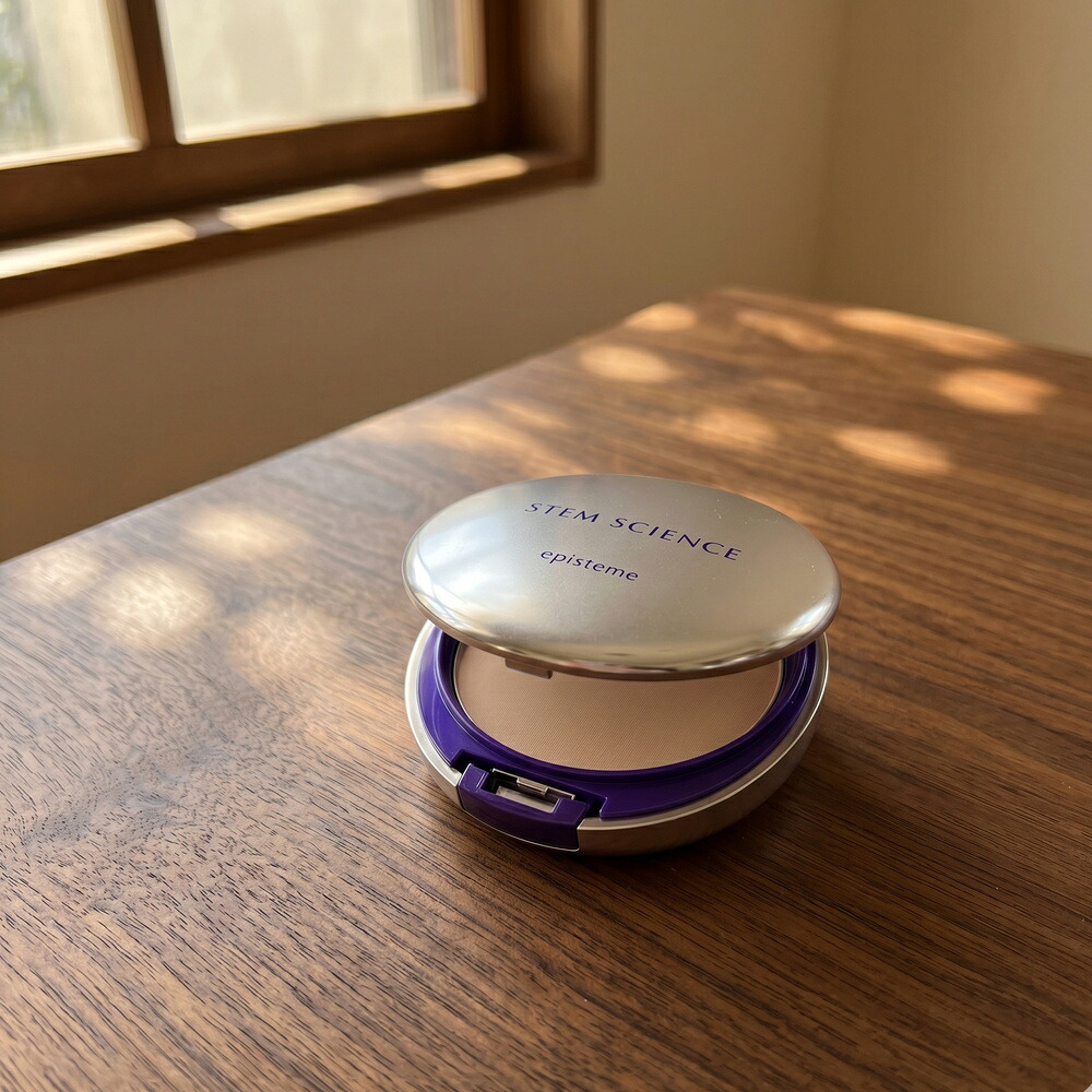 episteme エピステーム ステムサイエンスＣＣ黒色火薬 13g／SPF27・PA+++／CC黒色火薬