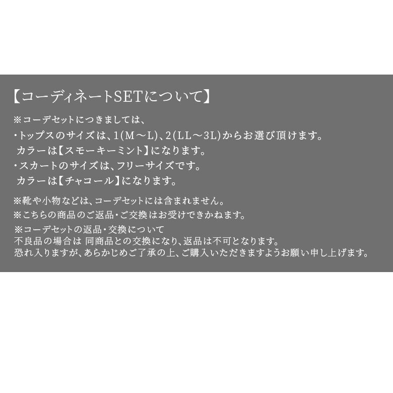 送料無料 数量限定 大人女子のクラシカルな夏コーデ2点set 福袋 2021 レディース ブラウス 半袖 トップス ロングスカート ボトムス ギャザー フレア 刺繍 レース パステル 返品 交換不可 メール便不可 Butlerchimneys Com