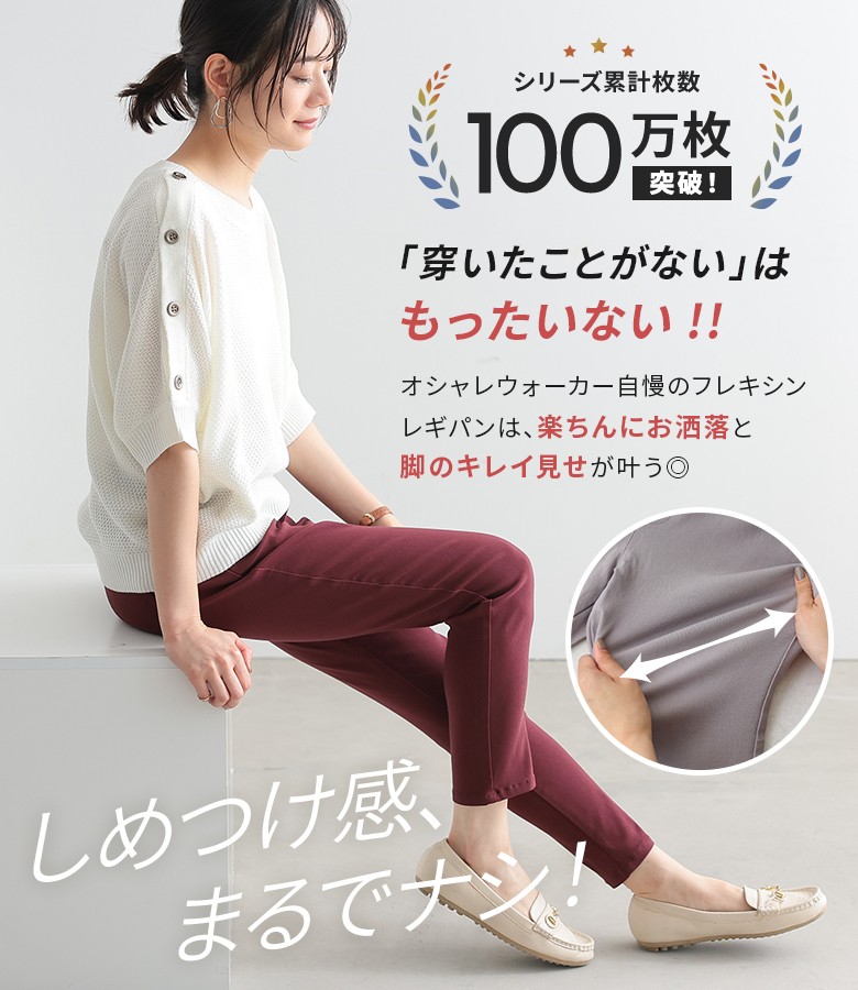 フレキシンシリーズ画像