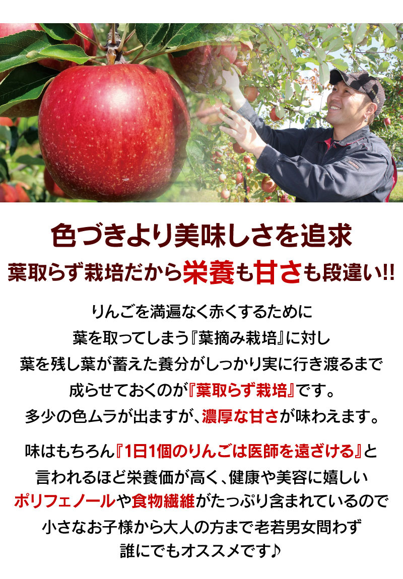 全国総量無料で 青森 りんご つがる 2kg 送料無料 9月上旬より順次出荷 フルーツ 果物 葉取らず栽培 農家直送 産地直送 大嶌屋 おおしまや  qdtek.vn