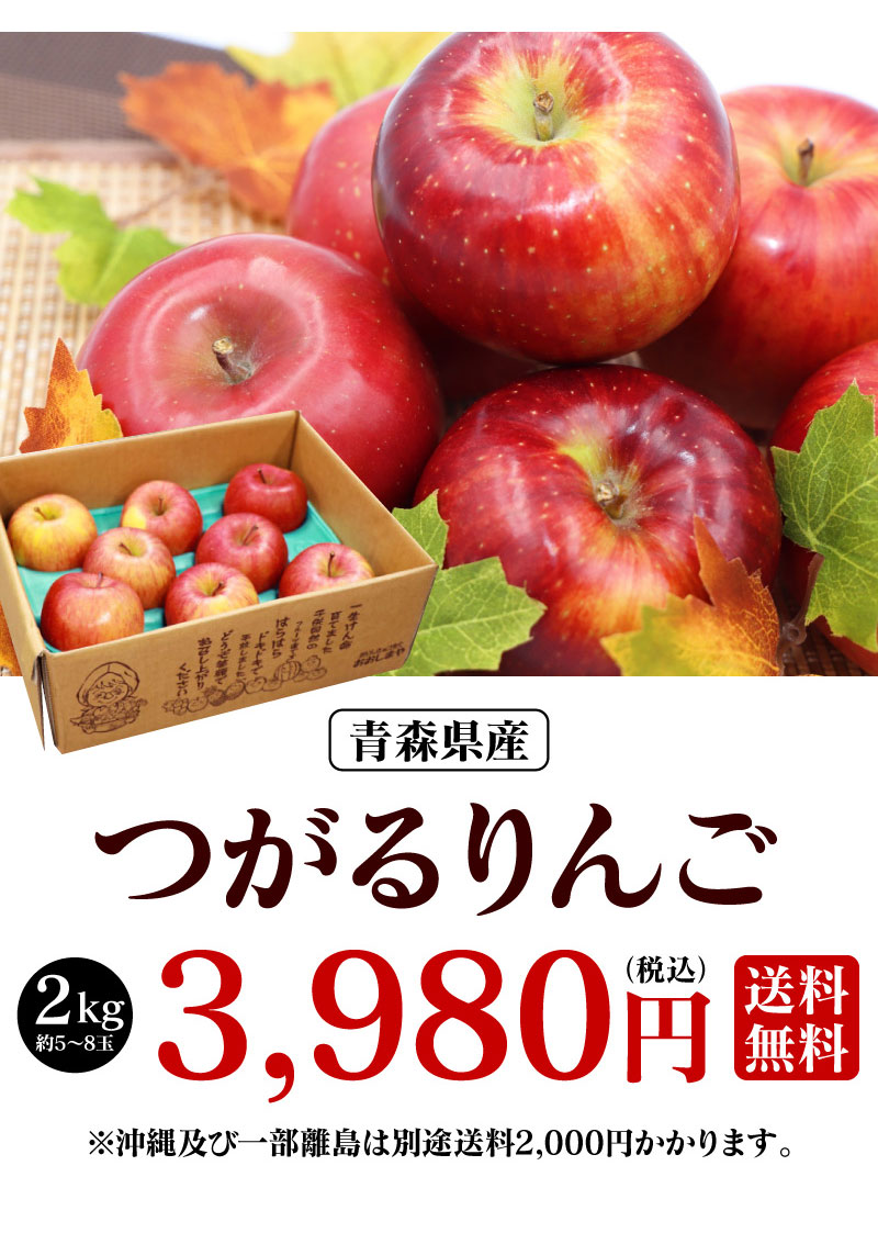 全国総量無料で 青森 りんご つがる 2kg 送料無料 9月上旬より順次出荷 フルーツ 果物 葉取らず栽培 農家直送 産地直送 大嶌屋 おおしまや  qdtek.vn