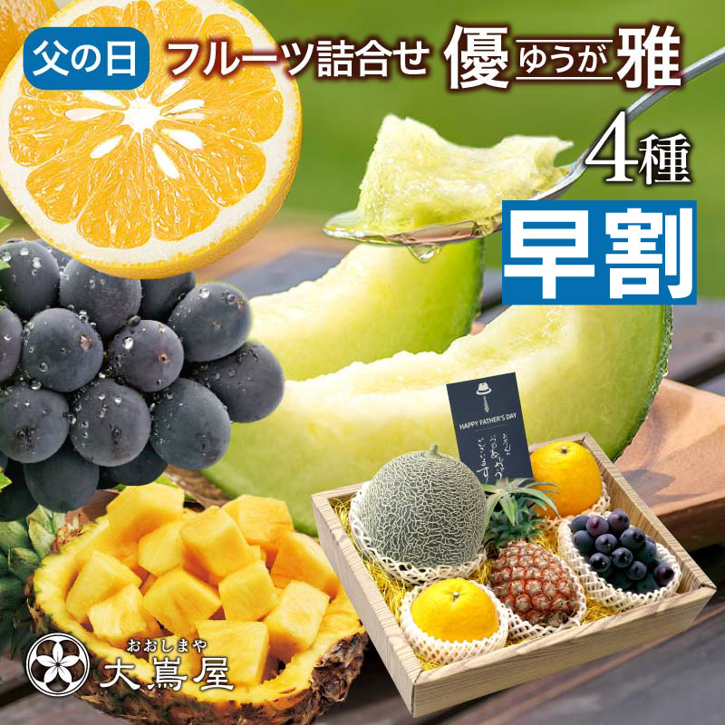 ＼早割 100円OFFクーポン／父の日 フルーツ 詰め合わせ 旬果4種 優雅（ゆうが） 送料無料 ギフト プレゼント ギフトセット 2025 国産 果物 フルーツギフト 健康ギフト フルーツ詰め合せ 盛り合わせ