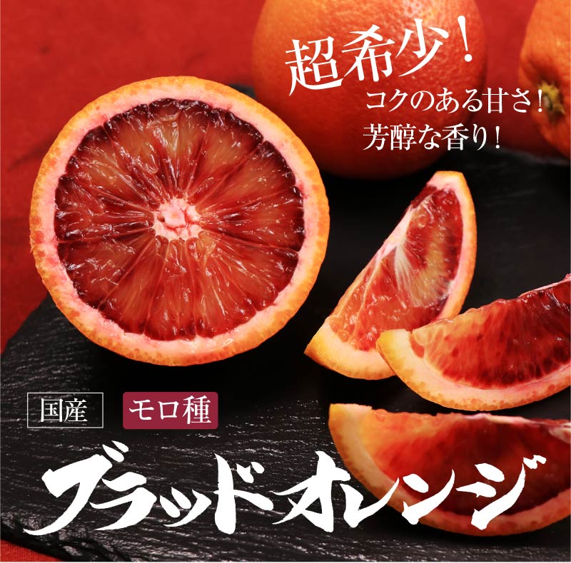 楽天市場 ポイント5倍 ブラッドオレンジ 3kg 送料無料 2月下旬より順次出荷 国産 モロ種 熊本 みかん オレンジ 希少 アントシアニン 2月下旬より出荷予定 果物 フルーツ 大嶌屋 おおしまや おいしさ直送 熊本おおしま屋
