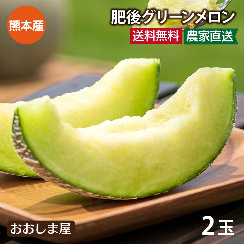 メロン 2玉入り 送料無料 肥後グリーンメロン ＜6月上旬より出荷予定＞ 熊本産 父の日 2025 ギフト プレゼント あまい 甘い 青肉 産地直送 農家直送 国産 果物 フルーツ おおしまや【gift】