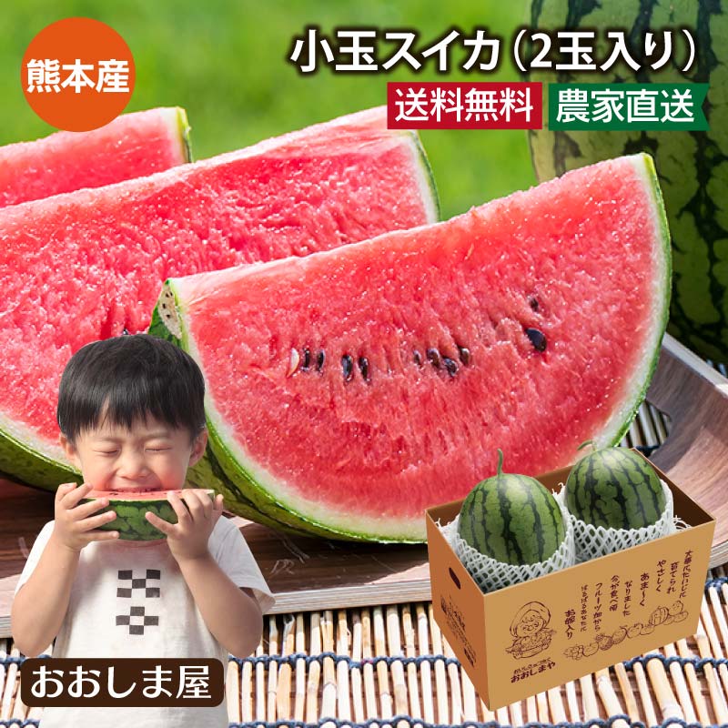 スイカ 熊本産 小玉スイカ 2玉入り 送料無料  ＜5月中旬より順次出荷＞ 甘い すいか 熊本 西瓜 産地直送 農家直送 食べ物 ギフト 2025 果物 フルーツ おおしまや【gift】