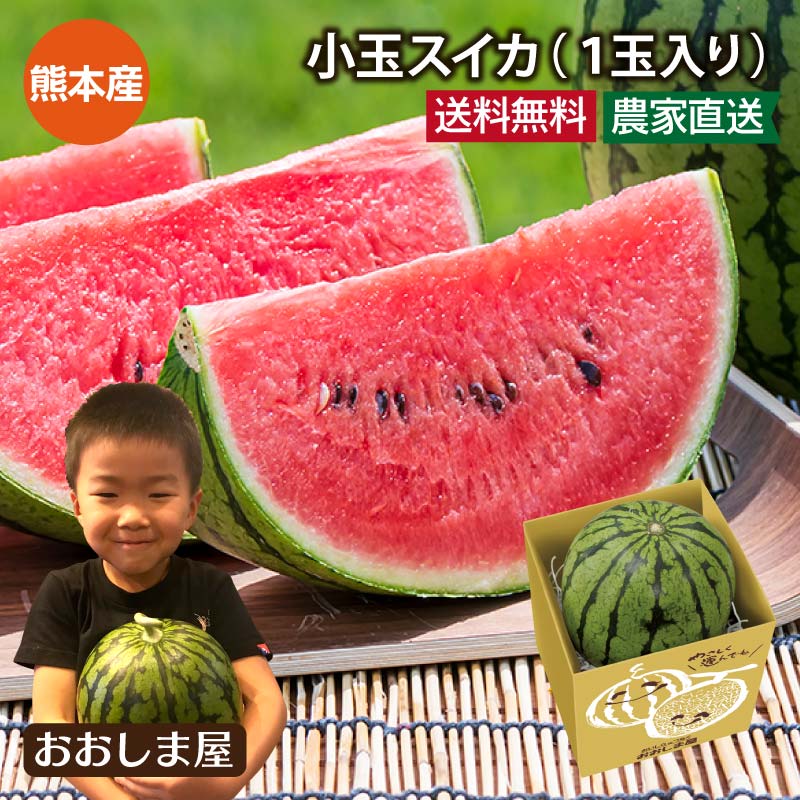 楽天市場】母の日 スイカ 熊本産 小玉スイカ 2玉入り 送料無料 ＜4月