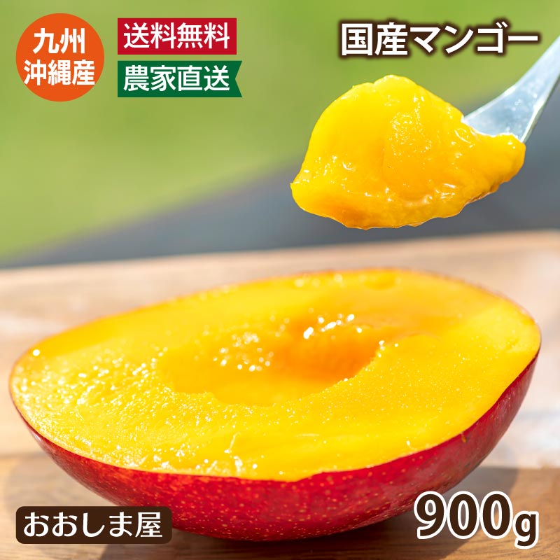 国産 完熟 マンゴー 900g 送料無料 （大小混合 約2～4玉）＜6月下旬より順次出荷＞ 九州・沖縄産 2025 お中元 御中元 夏ギフト ギフト プレゼント アップルマンゴー 南国フルーツ 高級フルーツ トロピカル 果物 フルーツ おおしまや