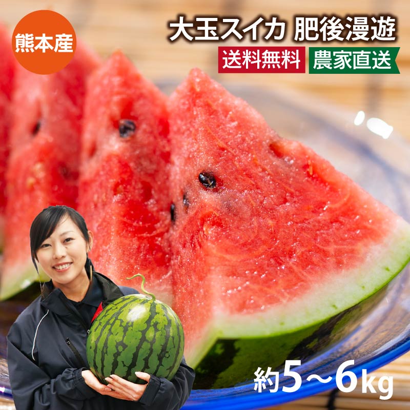 スイカ 肥後漫遊 1玉 約5kg M～Lサイズ  ＜5月中旬より順次出荷＞ 送料無料 熊本 大玉スイカ すいか 西瓜 農家直送 ギフト プレゼント フルーツ 果物 おおしまや