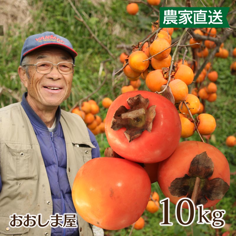 蜂屋柿 干し柿4.5キロ amulette 蜂屋柿 干し柿4.5キロ amulette 50005431d.jpg
