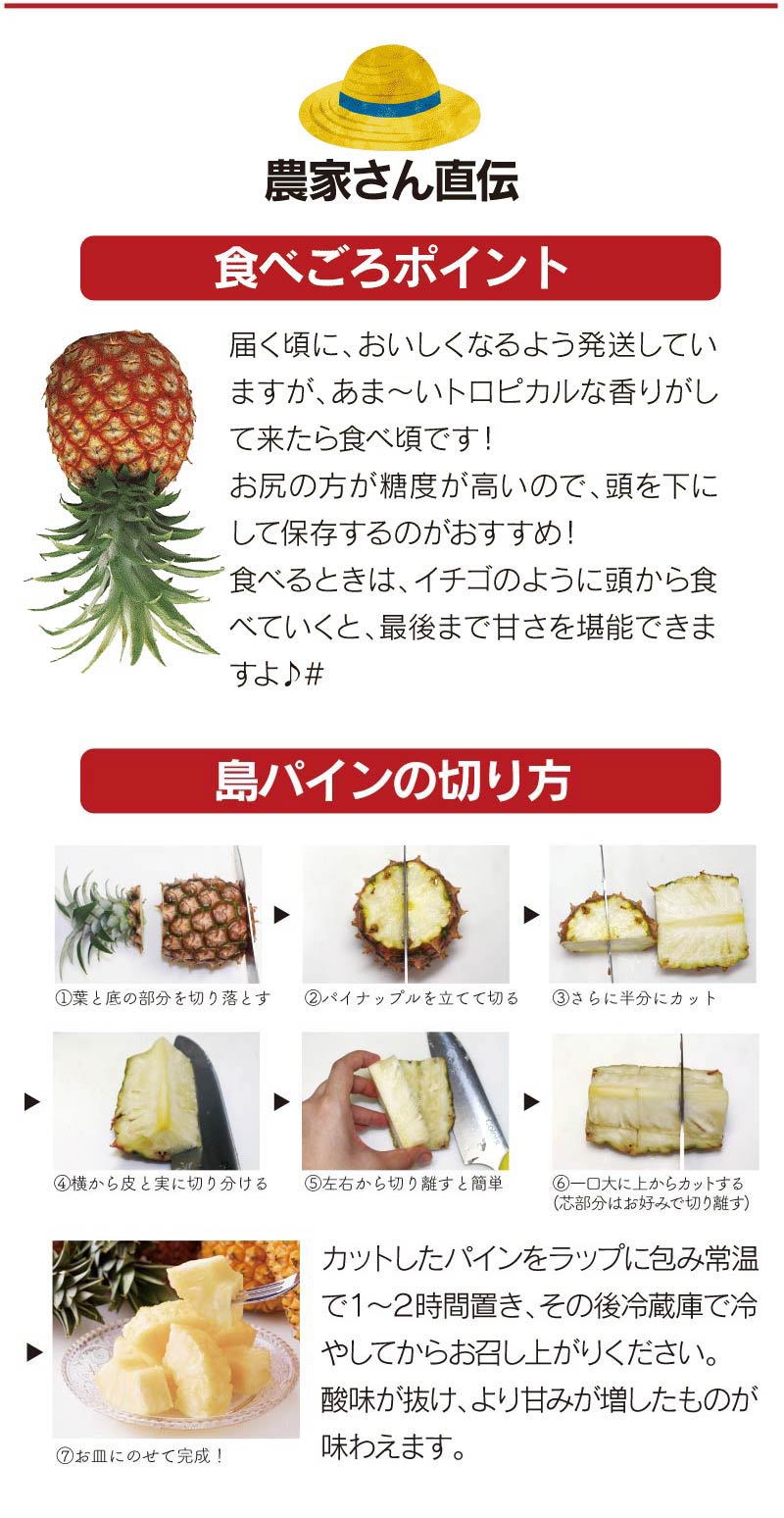 市場 沖縄 パイン パイナップル 約2玉 6玉入り 産地直送 南国フルーツ 送料無料 島パイン 2 5kg