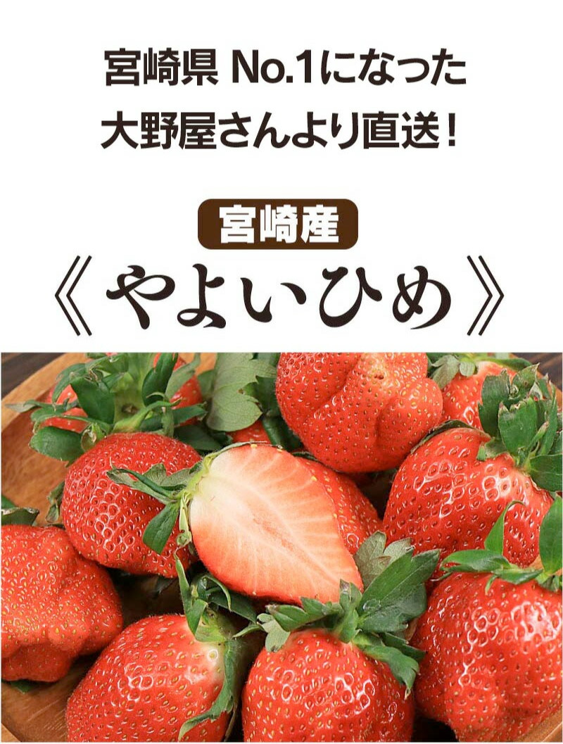 日本最大級 楽天市場 いちご 送料無料 やよいひめ 450g 2パック イチゴ やよい姫 苺 宮崎産 ギフト箱入り 予約 2月中旬より出荷予定 ギフト プレゼント 贈答 農家直送 産地直送 フルーツ 果物 大嶌屋 おおしまや Gift おいしさ直送 熊本おおしま屋 好評