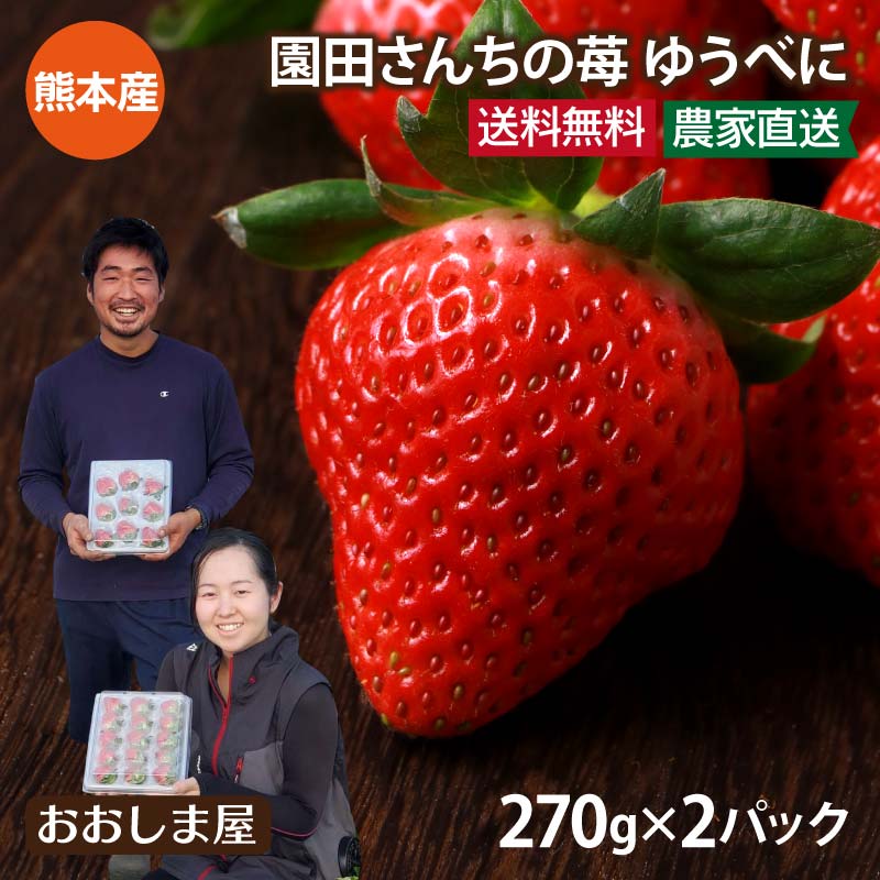 いちご ゆうべに 熊本産 2パック 送料無料 新品種 熊紅 農家直送 ブランド イチゴ 苺 2月上旬より出荷 ギフト プレゼント 贈答 進物 フルーツ 果物 大嶌屋 おおしまや Gift 熊本県 の 新品種 ブランド いちご 英国統計庁は イングランド地域に住んでい Diasaonline Com